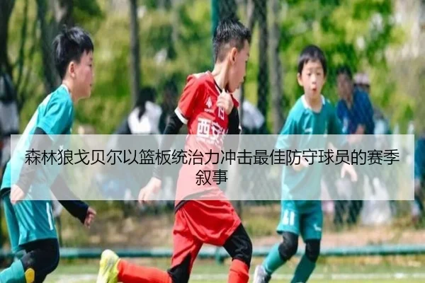 森林狼戈贝尔以篮板统治力冲击最佳防守球员的赛季叙事