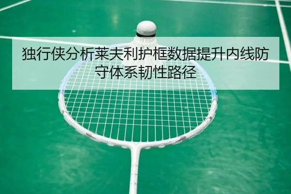 独行侠分析莱夫利护框数据提升内线防守体系韧性路径